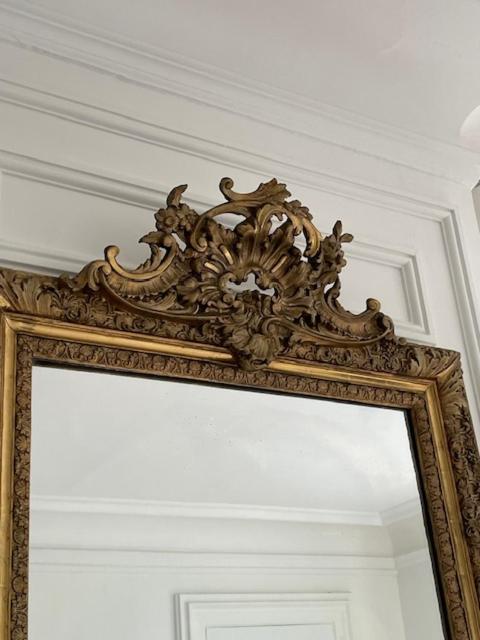 Grand Appartement D'Exception Au Chateau Randin Écully Eksteriør billede
