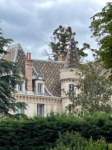 Grand Appartement D'Exception Au Chateau Randin Écully Eksteriør billede