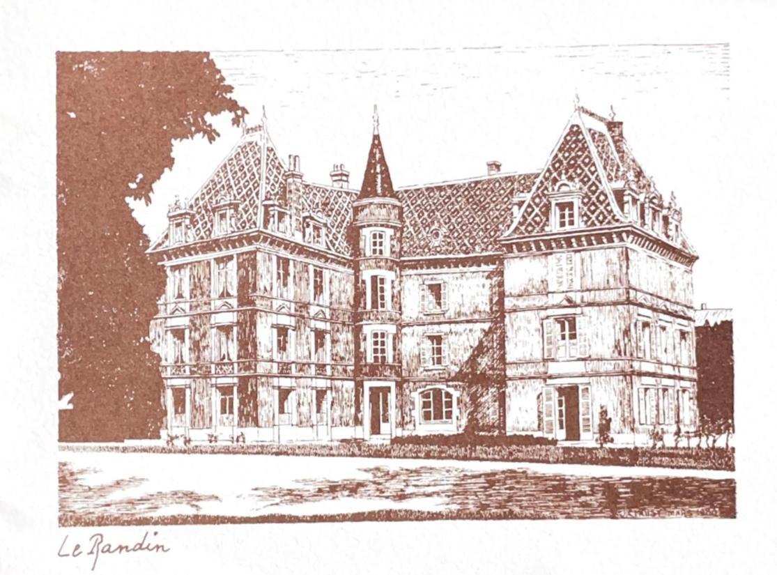 Grand Appartement D'Exception Au Chateau Randin Écully Eksteriør billede